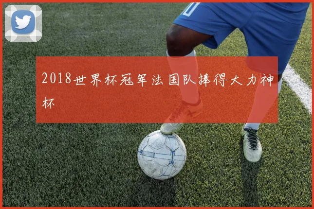 2018世界杯冠军法国队捧得大力神杯