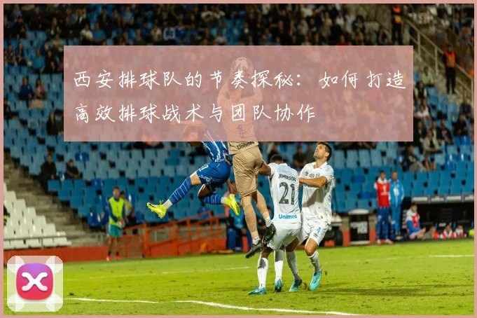 西安排球队的节奏探秘：如何打造高效排球战术与团队协作